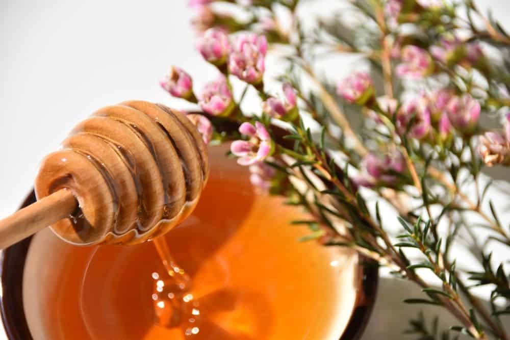 Manuka Honey For Eczema: Is Manuka Honey Good For Eczema?