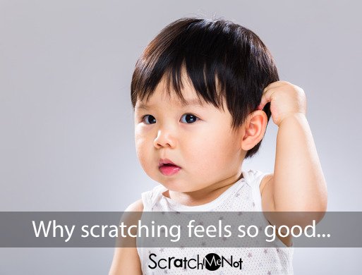 Why does scratching feel so good?