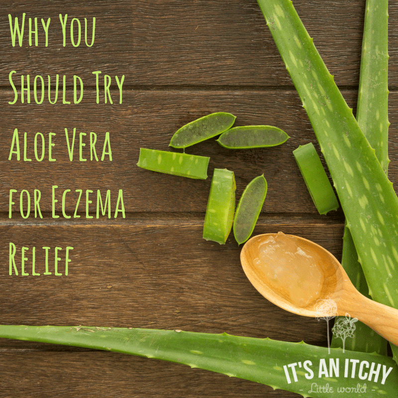 Why You Should Try Aloe Vera for Eczema Relief #eczemaroutines